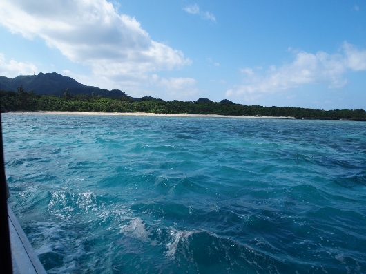 f0013029_17115499.jpg
