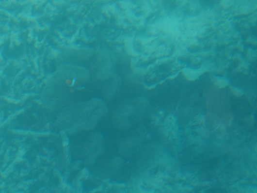f0013029_17132196.jpg