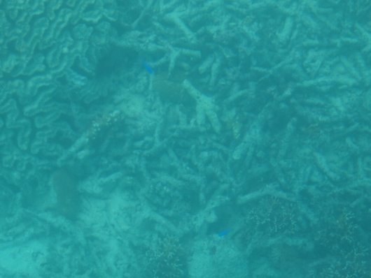 f0013029_17133191.jpg
