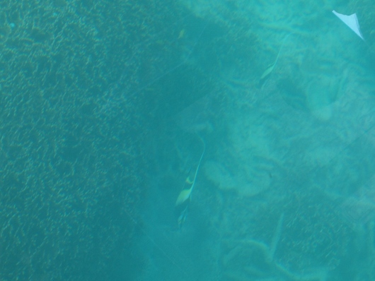 f0013029_17134219.jpg