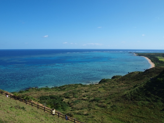 f0013029_1728088.jpg