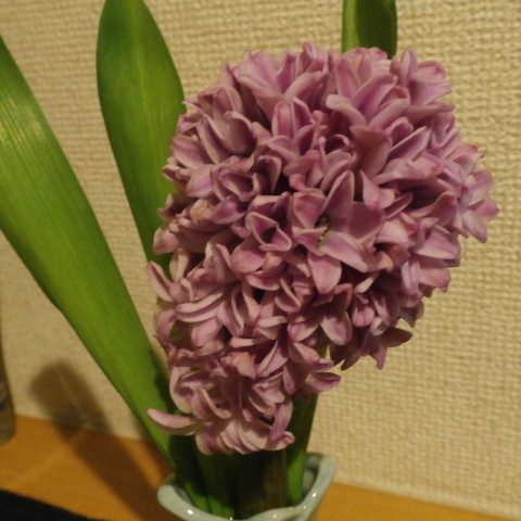 f0344931_16541362.jpg