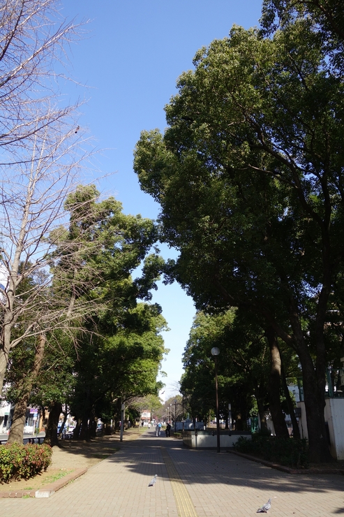 a0287336_20334273.jpg