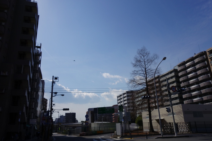 a0287336_20353570.jpg