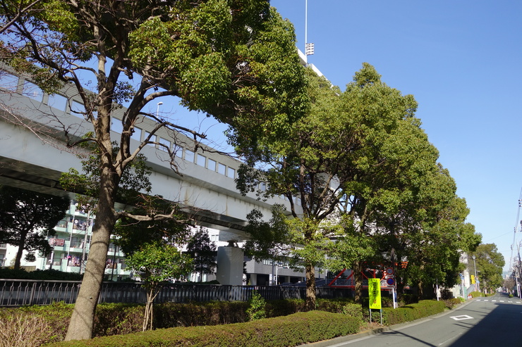 a0287336_20455051.jpg