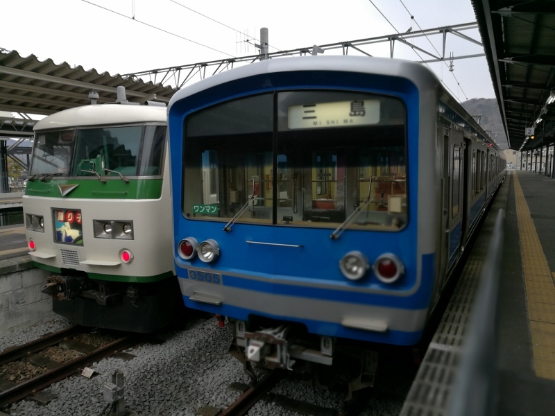 弾丸日帰り伊豆の旅　河津駅～修善寺駅　＠静岡県_f0048546_00123067.jpg