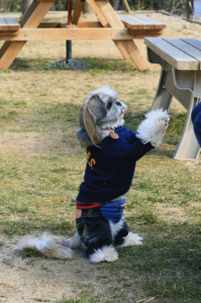 c0145250_09364100.gif