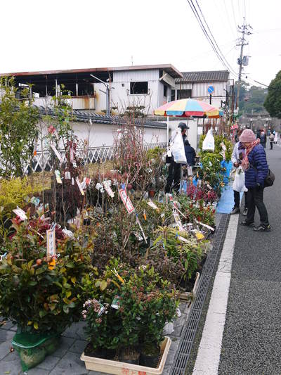 きくち初市 熊本県菊池市に春の訪れを告げる恒例の植木市 2017 御所通りにまつわる歴史探索 その2_a0254656_1913533.jpg