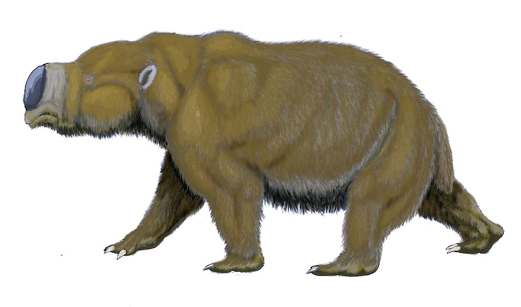 「引き寄せの法則」は7万年前に始まった! 2017.3.1_b0002156_1524293.jpg