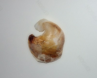 c0180460_12274925.jpg