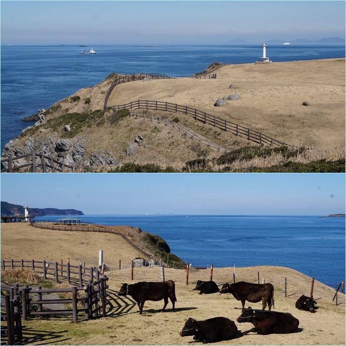 唐津オルレ・・・春うららの海景色。_f0016066_1242345.jpg