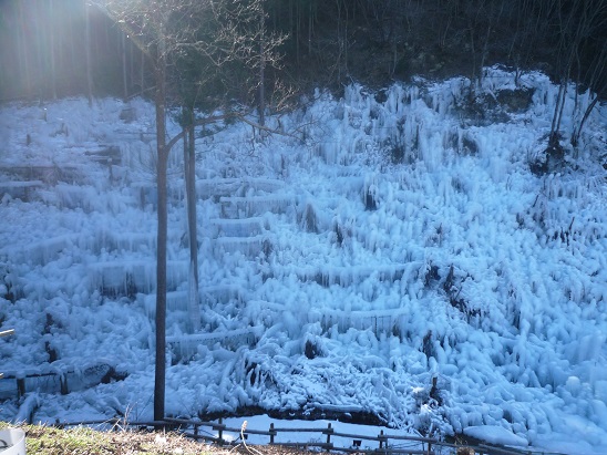 c0273271_1120147.jpg
