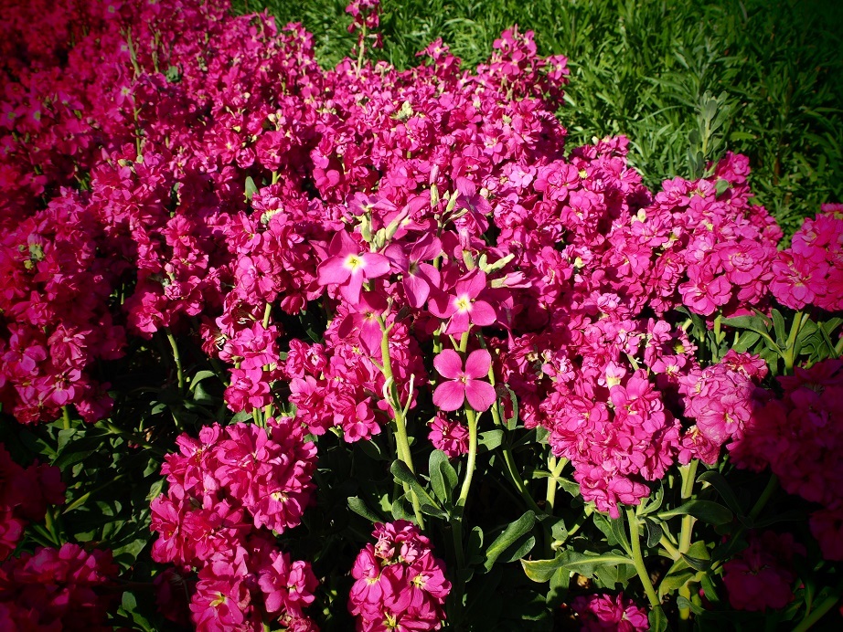 b0368673_11351350.jpg