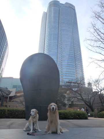 f0052277_00510707.jpg