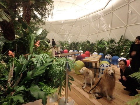 f0052277_00573156.jpg