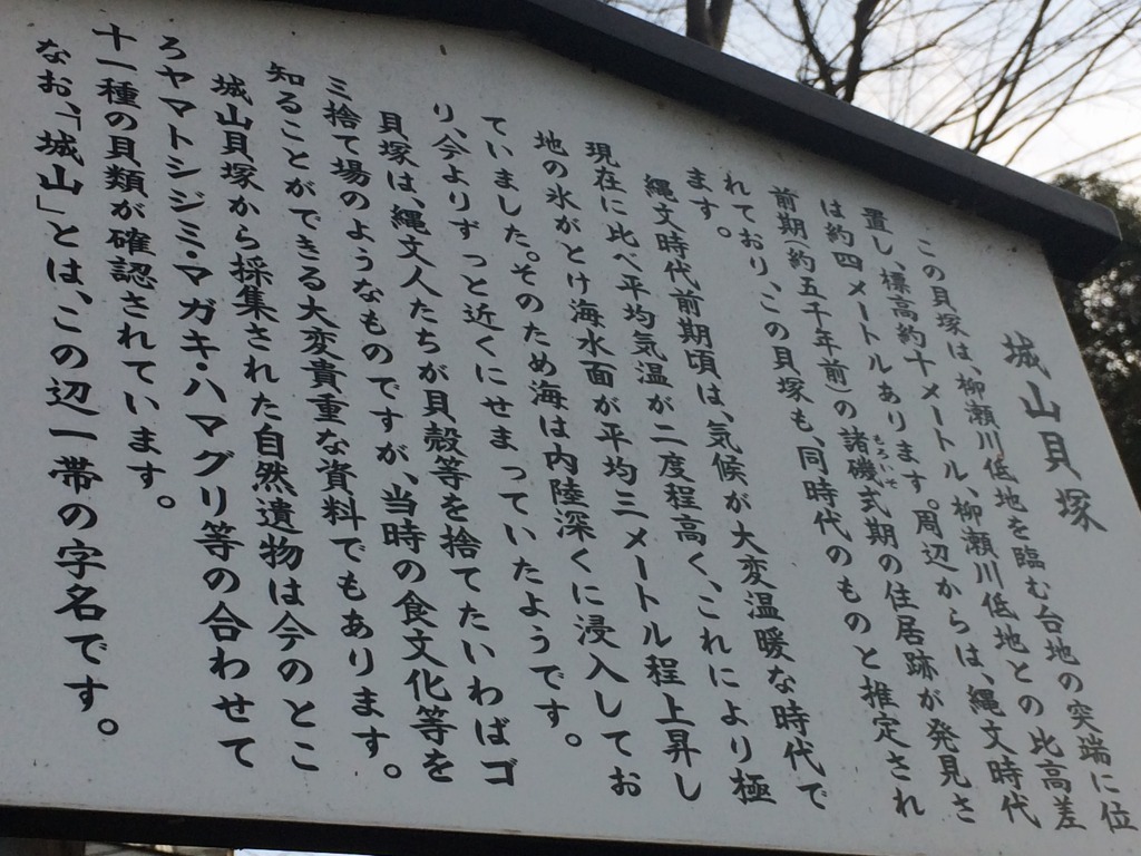 志木の城山貝塚、隣接する海岸沿いに水子貝塚_d0061678_15590126.jpg