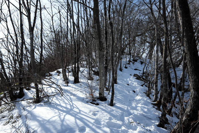 b0339488_22061193.jpg