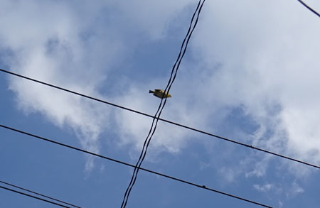 c0168990_1718982.jpg