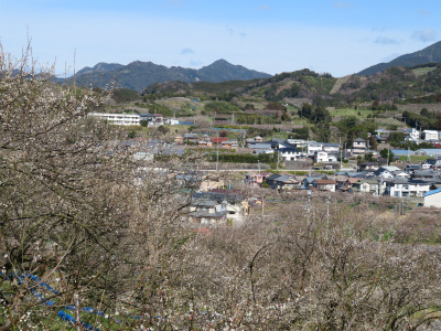 c0125501_15063667.jpg