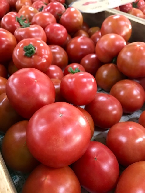 トマト 鎌倉野菜市場にて フィオッキ ブログ Fiocchi Blog トマト 鎌倉野菜市場にて フィオッキ ブログ Fiocchi Blog
