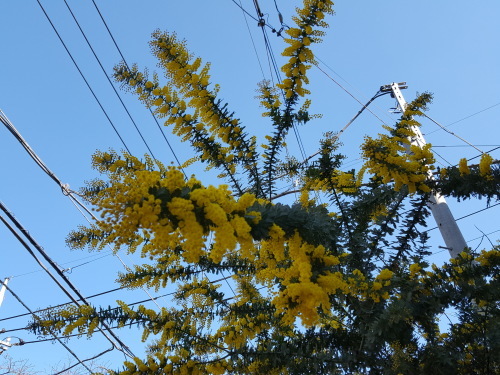 e0016828_11002207.jpg