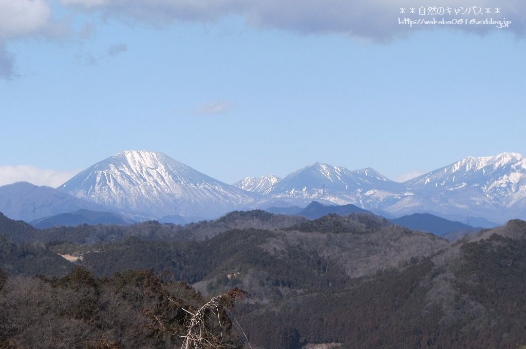 濃霧の東北道は幻想的でした！！！_e0052135_18433445.jpg