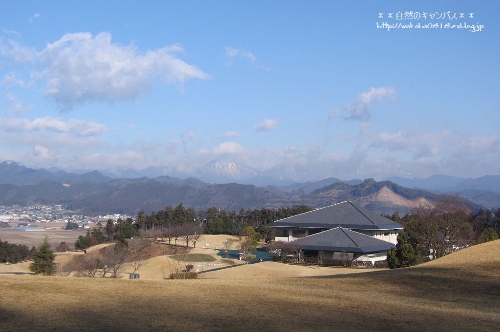 濃霧の東北道は幻想的でした！！！_e0052135_18434117.jpg