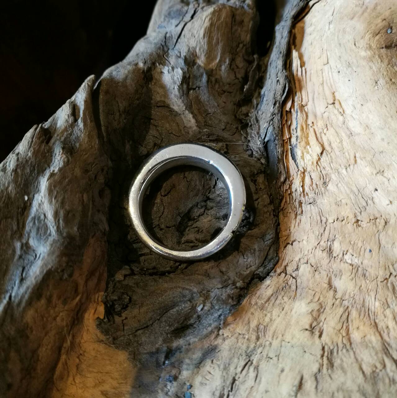c0167336_22295238.jpg