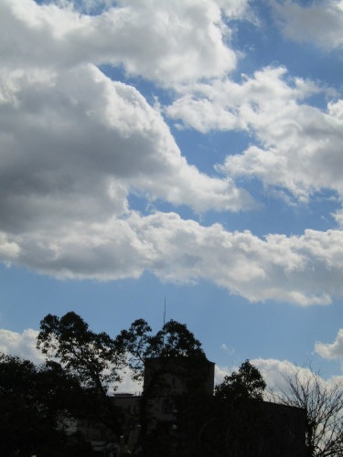 f0117041_16092610.jpg