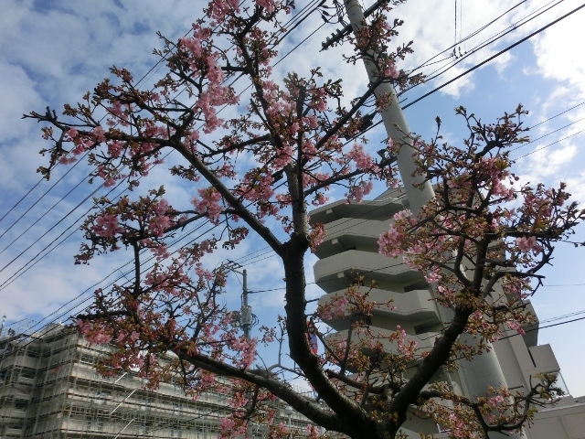 c0328559_16272329.jpg