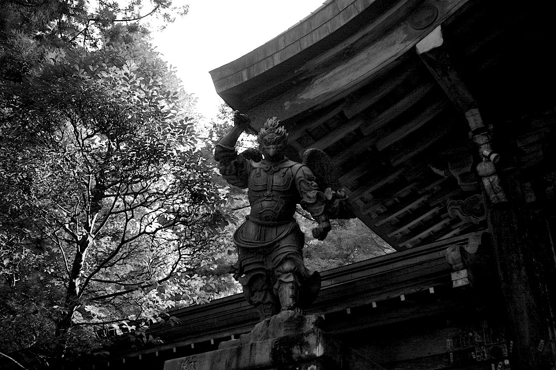 d0175768_17011993.jpg