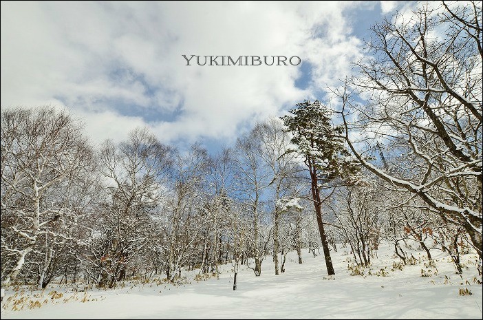 雪見風呂、おススメです♪_b0341869_13004583.jpg