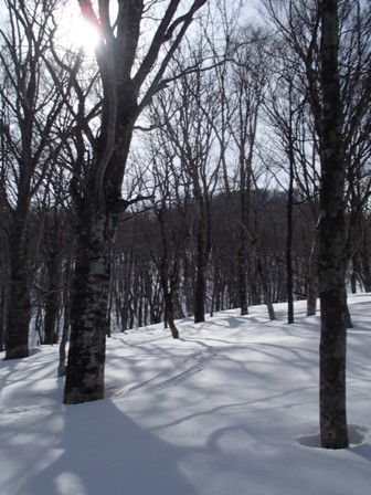 a0344771_09390648.jpg