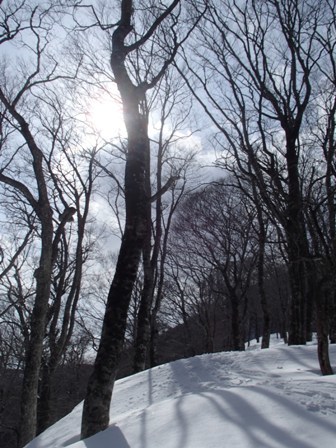 a0344771_09393385.jpg