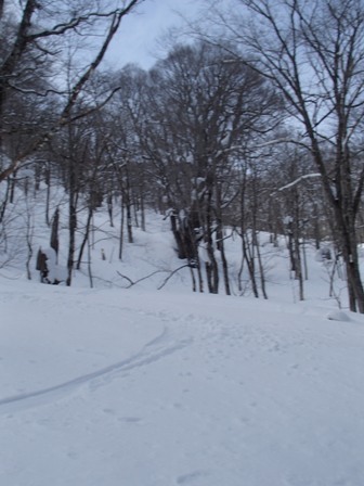 a0344771_09401774.jpg