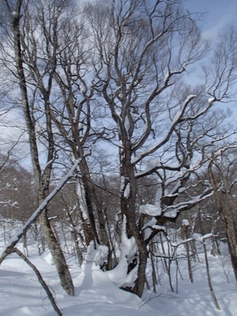 a0344771_09402201.jpg