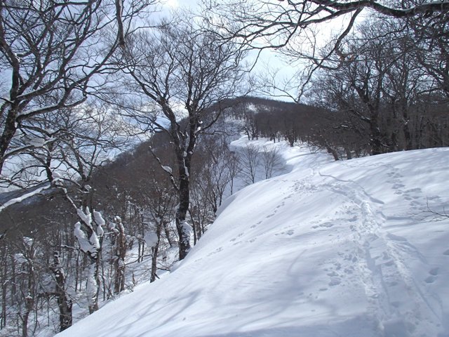 a0344771_09403416.jpg