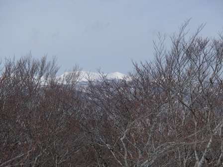 a0344771_09421590.jpg