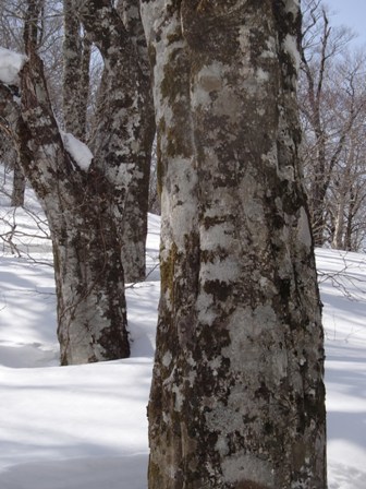 a0344771_09421967.jpg