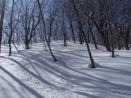 a0344771_09423277.jpg