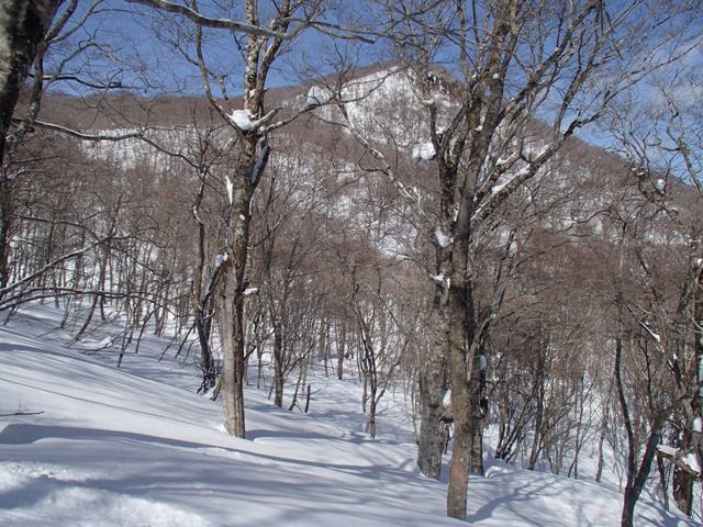 a0344771_09423828.jpg