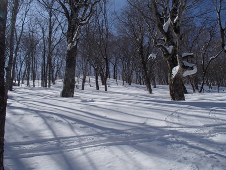 a0344771_09424256.jpg