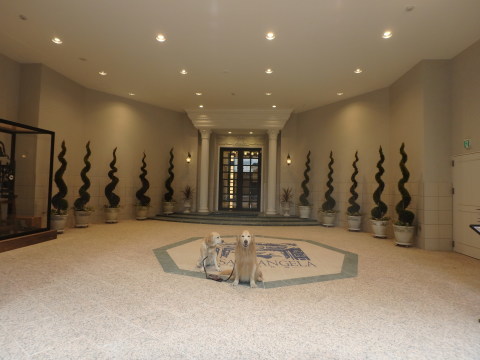 f0052277_02243073.jpg