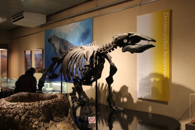 c0104378_11111872.jpg