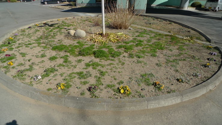 c0212083_16563166.jpg