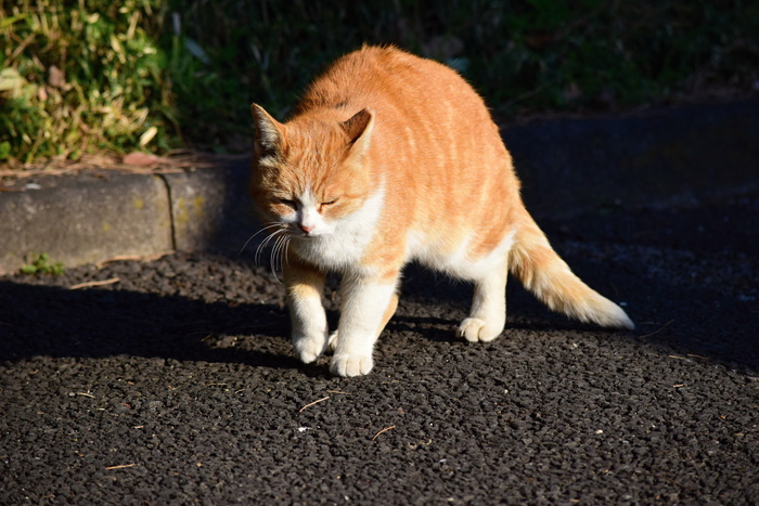 久しぶりに皇居東御苑_a0127090_2227834.jpg