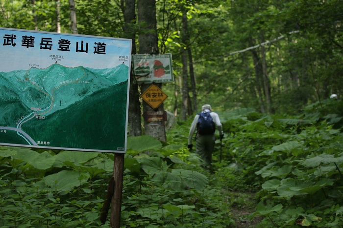 武華山　（東尾根コース～ライオン岩コース） _a0270291_200448.jpg
