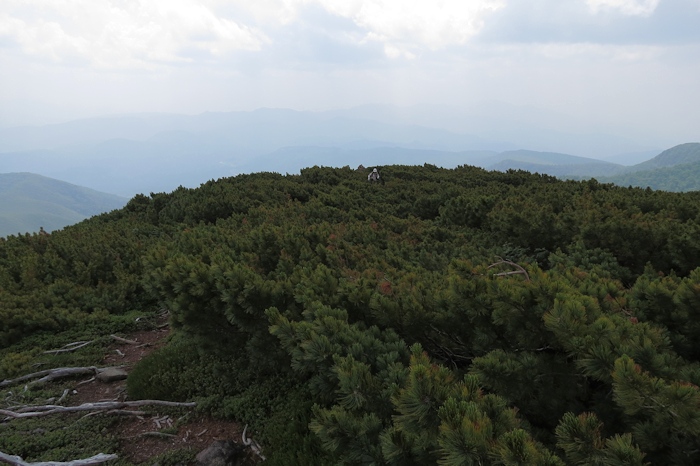 武華山　（東尾根コース～ライオン岩コース） _a0270291_20122821.jpg