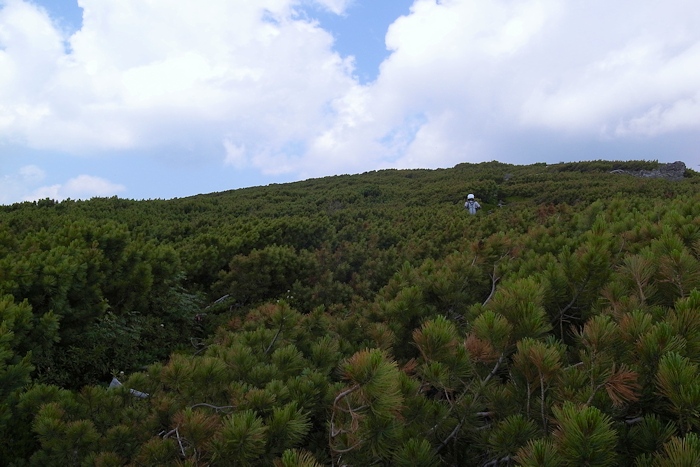 武華山　（東尾根コース～ライオン岩コース） _a0270291_20124076.jpg