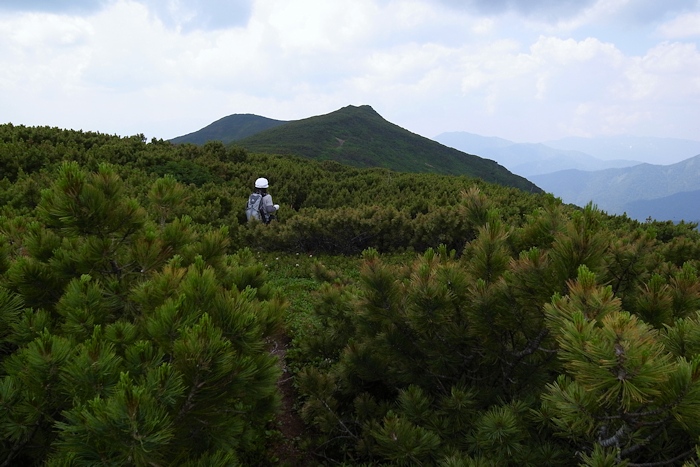 武華山　（東尾根コース～ライオン岩コース） _a0270291_2015646.jpg